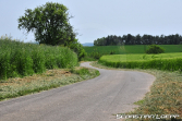 Rallye Potzberg 2023